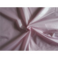 20d Nylon Taffeta Fabric for Down Coat (XSN009)