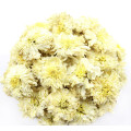 Natural  high quality chrysanthemums