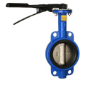 DIN Wafer Butterfly Valve PN16