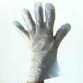 Compostable Food Service Gloves Derived from Cornstarch