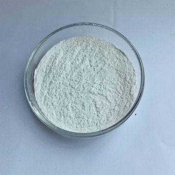 TCP Tri calcium Phosphate Feed Grade