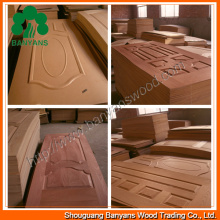 Ep Taek Veneer HDF Moulded Door Skin