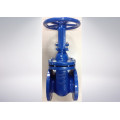 Rubber Encapsulated Wedge Gate Valve