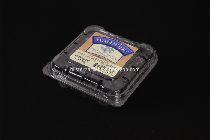 Blueberry Clamshell Packaging