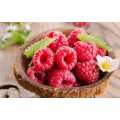 Supplements Raspberry Extract 98% Raspberry Ketone Powder