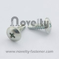 Mushroom Head Drilling Screw