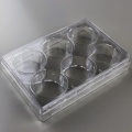 6 Well Tissue Culture Plates