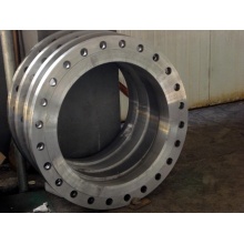 Customized Stainless Steel Forged Flange