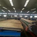 Continuous Jet Wood Veneer Rolle Dryer