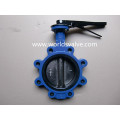 Lug Type Butterfly Valve with Halar Painting