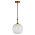 Modern Home Decor Hanging Suspended Pendant Light