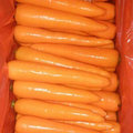 Nueva cosecha de zanahoria fresca de buena calidad