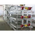 H Frame Layer Rearing Cages