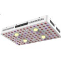 COB 2000w LED Grow Light Hidropônico