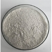 Catalase Enzyme Catalase Positive Bacteria Food Additives