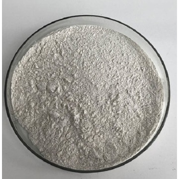 Catalase Enzyme Catalase Positive Bacteria Food Additives