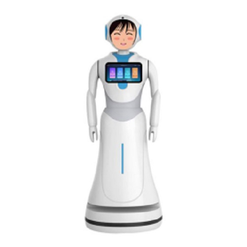 Interactive Talking Robots for Hotel Welcome