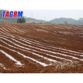 Sugar cane planting machine / planter