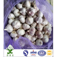 20 Kg Mesh Bag Normaler weißer Knoblauch 4.5cm Von Jinxiang