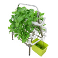 Skyplant Vertical Home Hydroponics Growkit