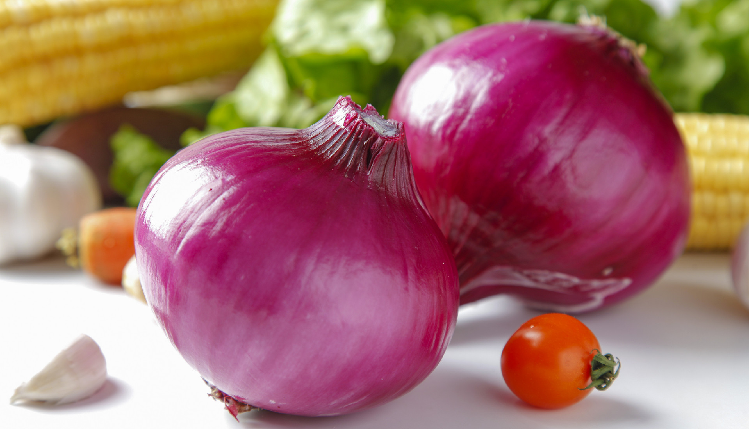 Onion extract powder manufacturers Onion extract powder manufacturers