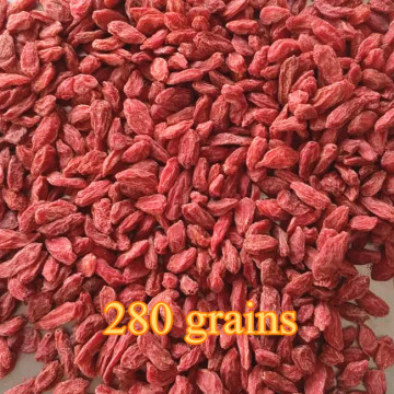 Factory Supply high quality bulk Dried Goji Berry