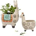 Alpaca / Llama &amp; Goat Flower Pots