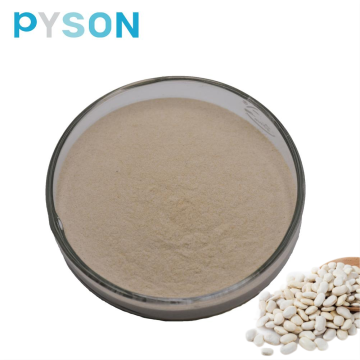 White Kidney Bean Extract 1%HPLC