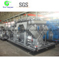 250bar Pressão de descarga Compressor de GNV de gás natural