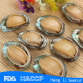 Hot selling seafood fresh frozen abalone