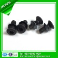 Torx Flat Head Black Anti-Theft Screw