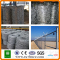 High quality galvanized barbed wire