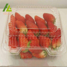 Clear Plastic Strawberry Fruit Container