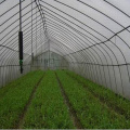 Ирригационный оросительный шланг оросительной системы для оросительной системы фермы