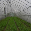 Mangueira de Irrigação de Irrigação de Irrigação por Aspersão para Sistema de Irrigação de Fazenda