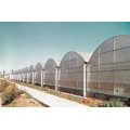 Agriculture Multi Span Film Greenhouse