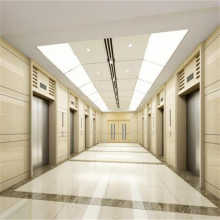 APSL ELEVATOR Commercial Elevators and Lifts