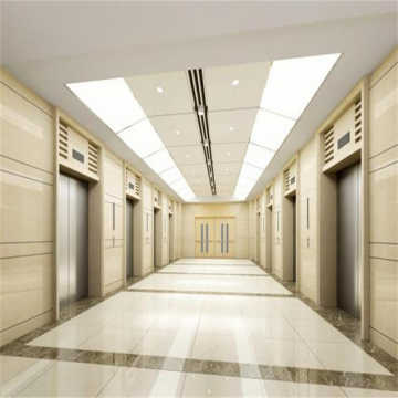 Ascenseurs et ascenseurs commerciaux d&#39;ascenseur APSL