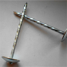 Umbrella Head Common Roofing Nail