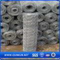 Galvanizado e Revestido de PVC Hexagonal Wire Mesh