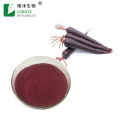 Natural black carrot extract daucus carota extract