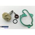 Water pump repair kit Minarelli AM6