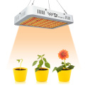 WENYI 2021 Best Selling SMD 1000w Grow Lights