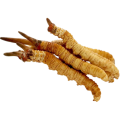 Cordyceps Mycelium Powder 7% UV