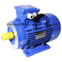 Three Phase Cast Iron Electric Motor with Ce Certificate 7.5kw