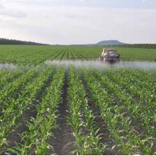 Fertilizante orgânico Borato Aminoácido Quelato