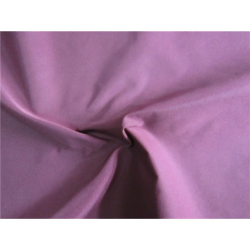 Nylon Spandex Fabric for Outdoor Sportwear (XSFN-001)