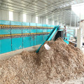 Veneer Dryer for Poplar Wood