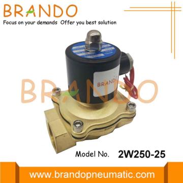 AC 220V 2W250-25 Water Solenoid Valve