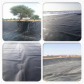 CE/ISO9001 0.2-2.0mm HDPE Geomembrane for Pond Liner